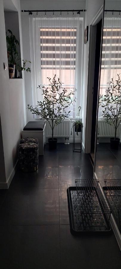 Apartamenty Magvel Szczecin Exterior photo